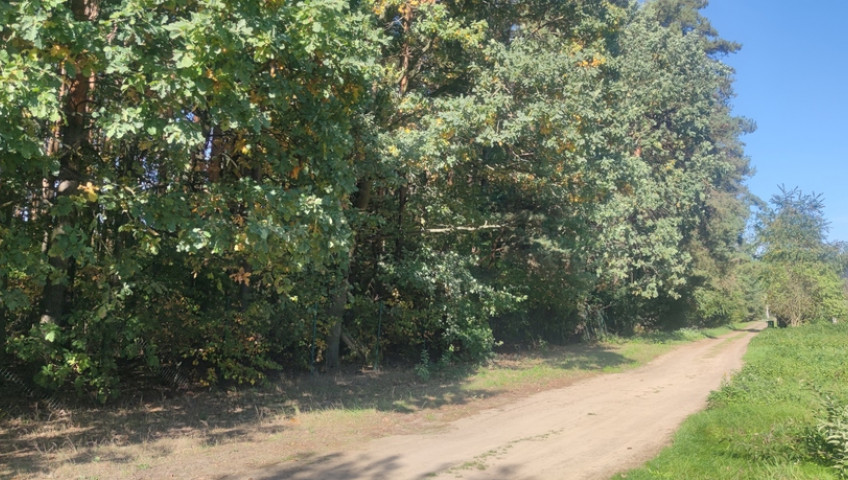 Działka Sprzedaż Marianów aleja Kalinowa